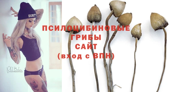 каннабис Богородицк