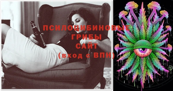шишки Богданович