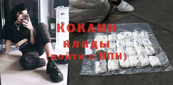 шишки Богданович
