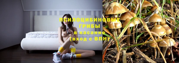 МДПВ Богородск