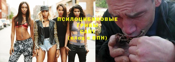 МДПВ Богородск